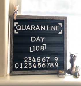 quarantine count3